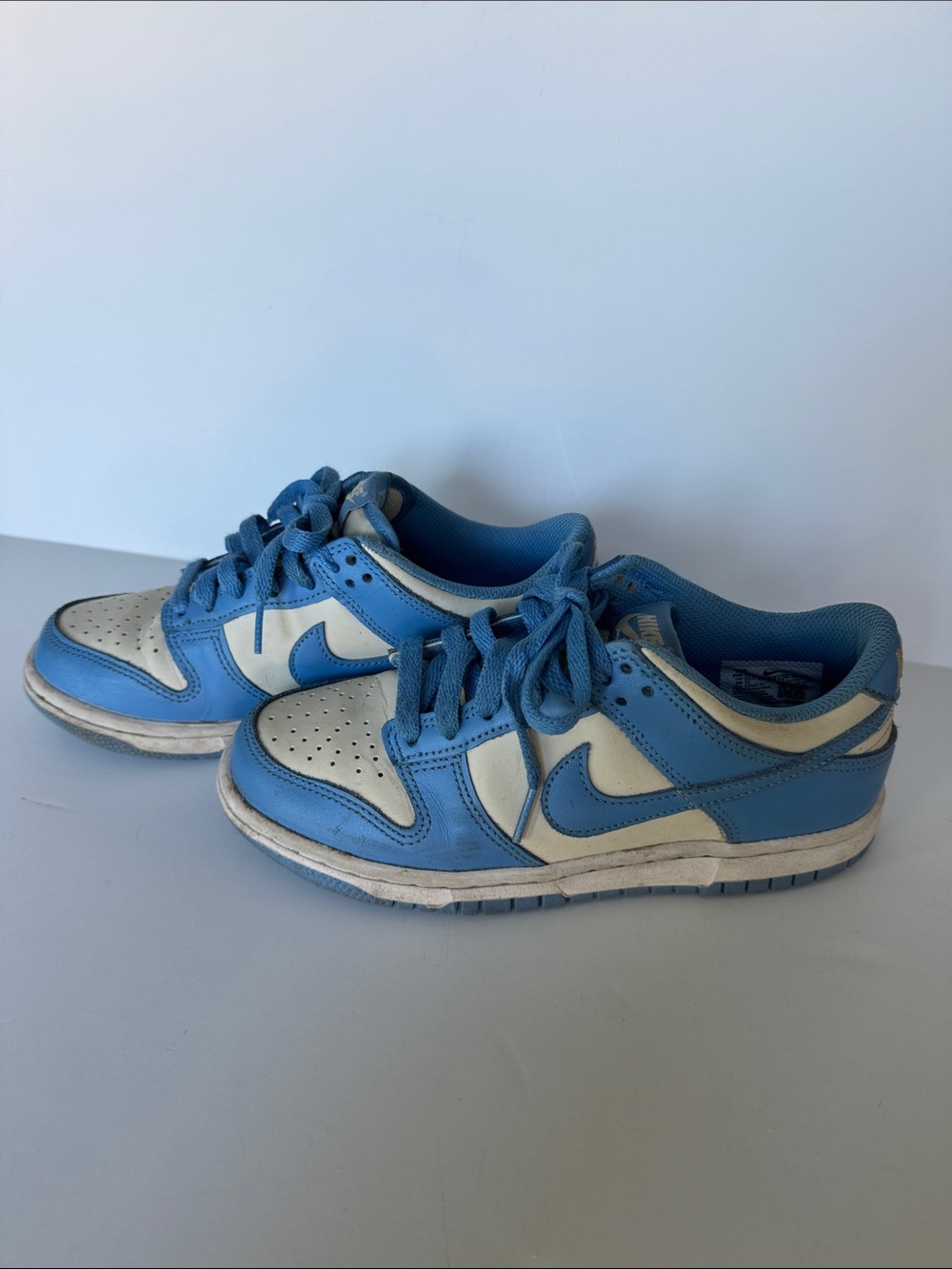 Nike Dunk Youth Low-Top Sneakers Blue and White Size Big Kid 4.5Y
